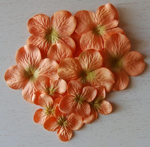 Orangehydrangea